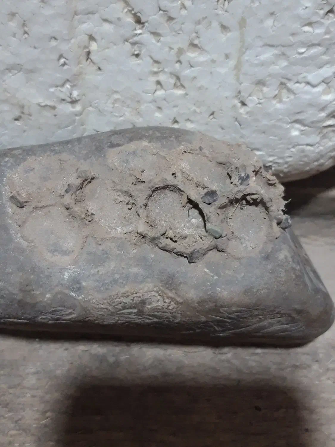 سنگ فسیل|کلکسیون اشیاء عتیقه|کرمانشاه, |دیوار