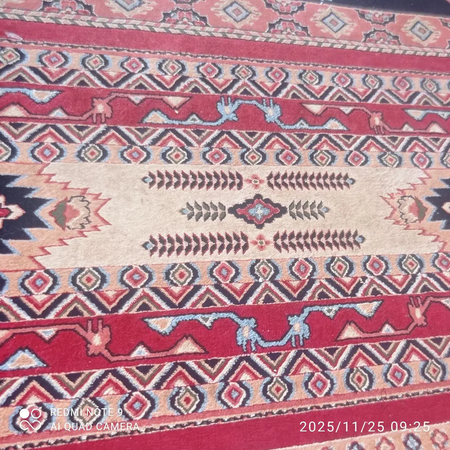 دو جفت فرش ۹ متری رنگ لاکی خوش رنگ ۵۰۰ شانه|فرش|شیراز, زرهی|دیوار