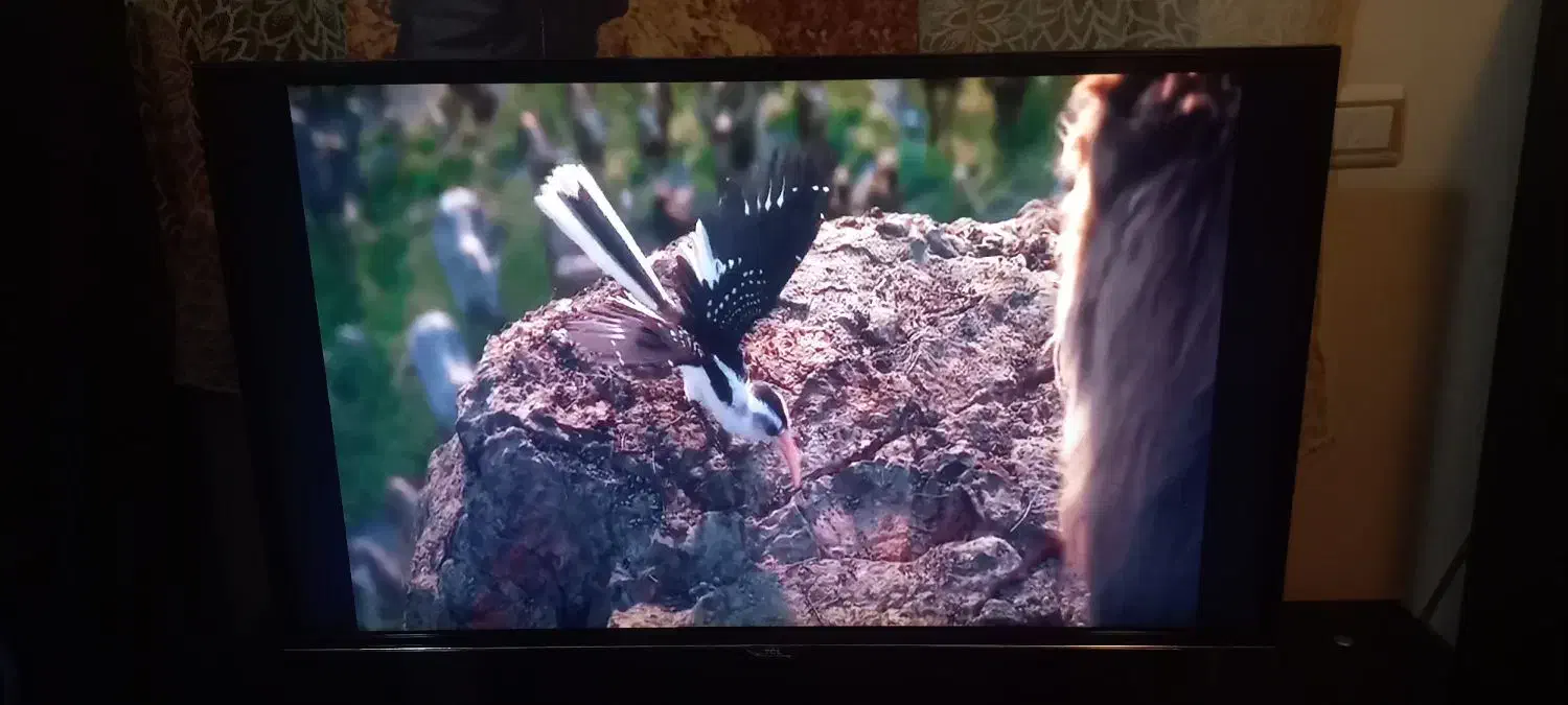 ال ای دی تی سی ال ۴۳اینج|تلویزیون و پروژکتور|ساری, |دیوار