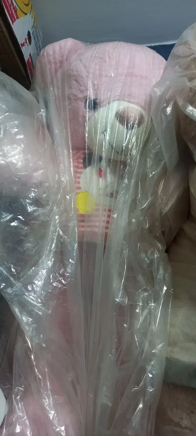 عروسک های مارک دارخارجی|اسباب‌بازی بچه|تبریز, |دیوار