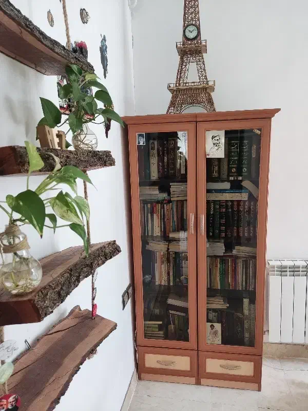 کتابخانه دوقلو چوبی|کتابخانه، شلف، قفسه‌های دیواری|اراک, |دیوار