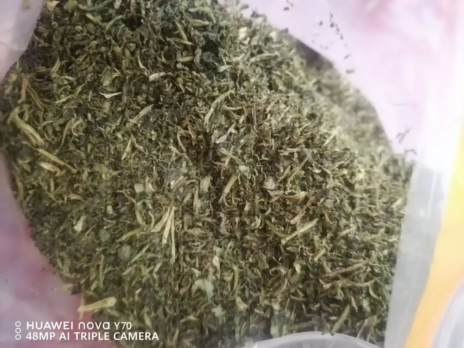 سبزی خشک قورمه سبزی|خوردنی و آشامیدنی|شیراز, مسلم|دیوار