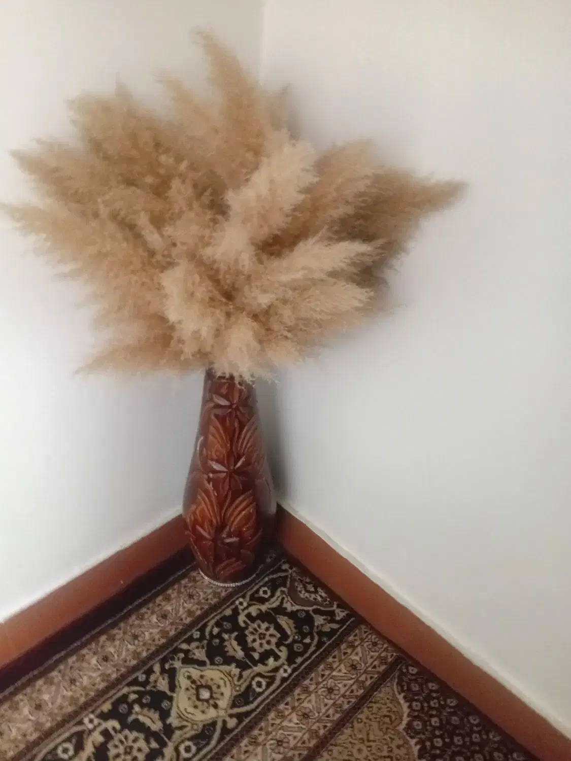 گلدان|گل و گیاه طبیعی|شاهین‌شهر, گرگاب|دیوار