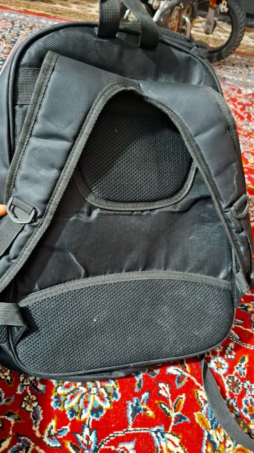 کیف مدرسه|کیف، کفش، کمربند|بندر گناوه, |دیوار