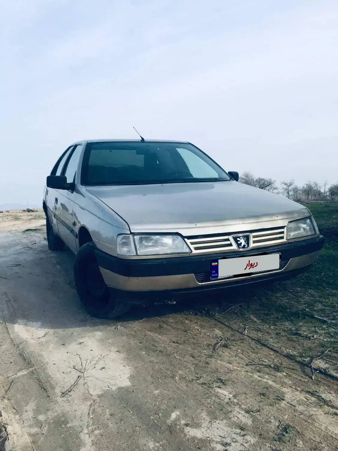 پژو ۴۰۵ مدل۸۶ بژ|خودرو سواری و وانت|جیرفت, |دیوار