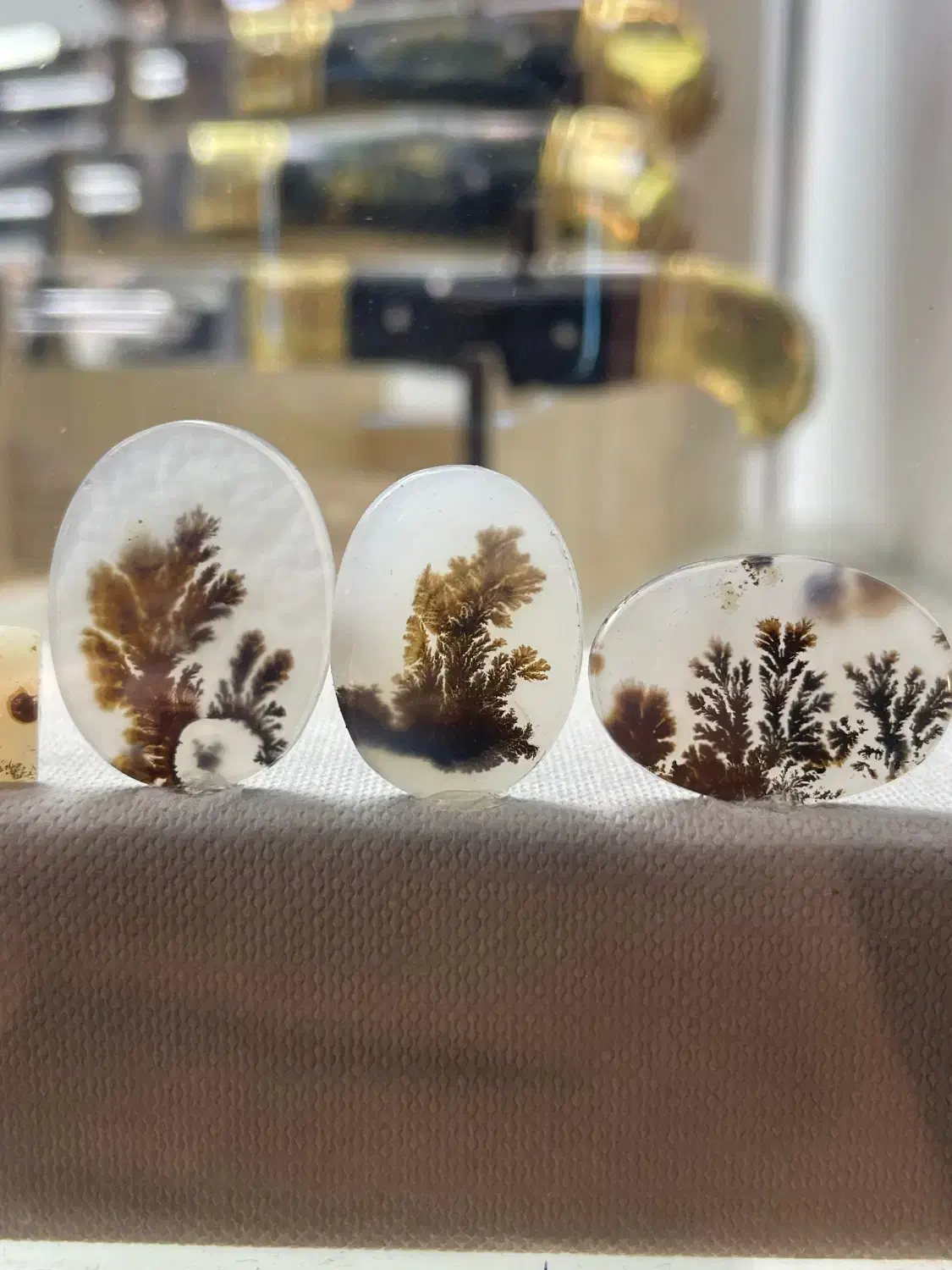 بارخونه شجر قائن|جواهرات|زنجان, |دیوار