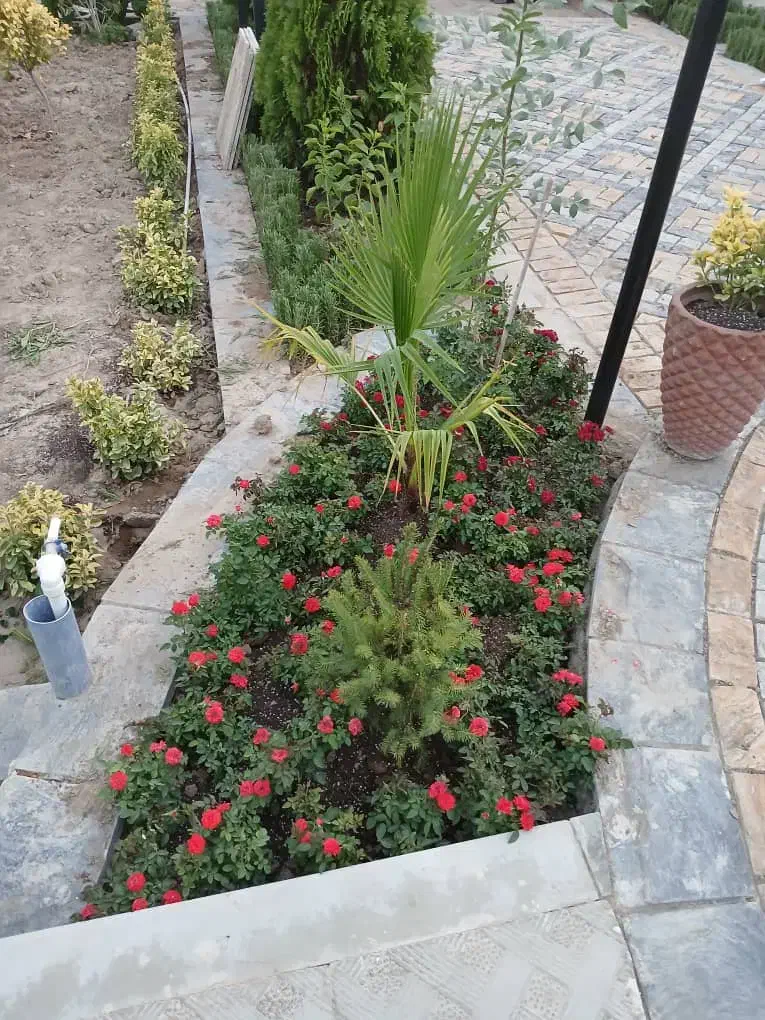 خدمات باغبانی باغچه کاری تعویض خاک گلدون گل وگیا|خدمات باغبانی و درختکاری|پردیس, فاز ۱۱|دیوار