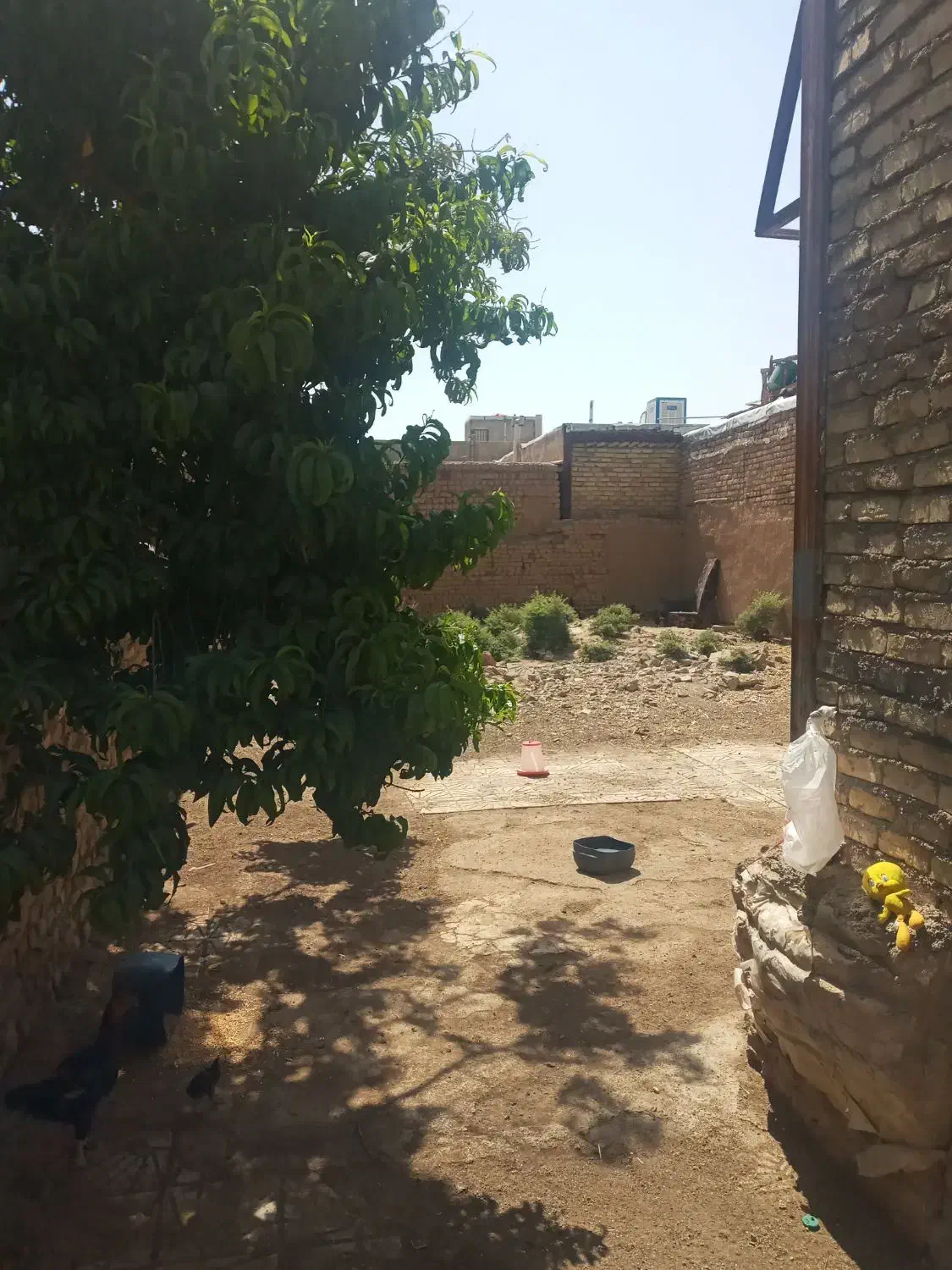 مغازه تجاری وزمین تجاری ومسکونی|فروش مغازه و غرفه|بشاریات, |دیوار