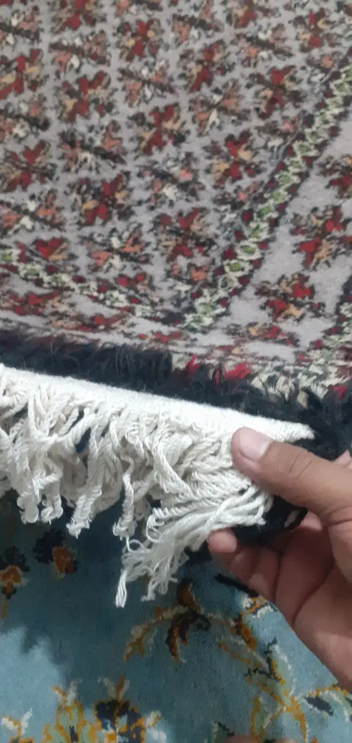 کناره دستبافت، فرش دستبافت|فرش|تهران, ازگل|دیوار