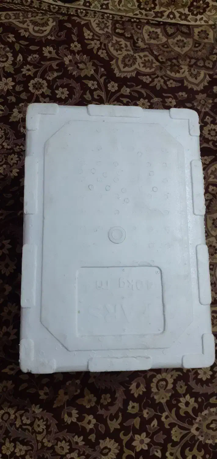 کائوچو برا ماهی|ماهی|هندیجان, |دیوار