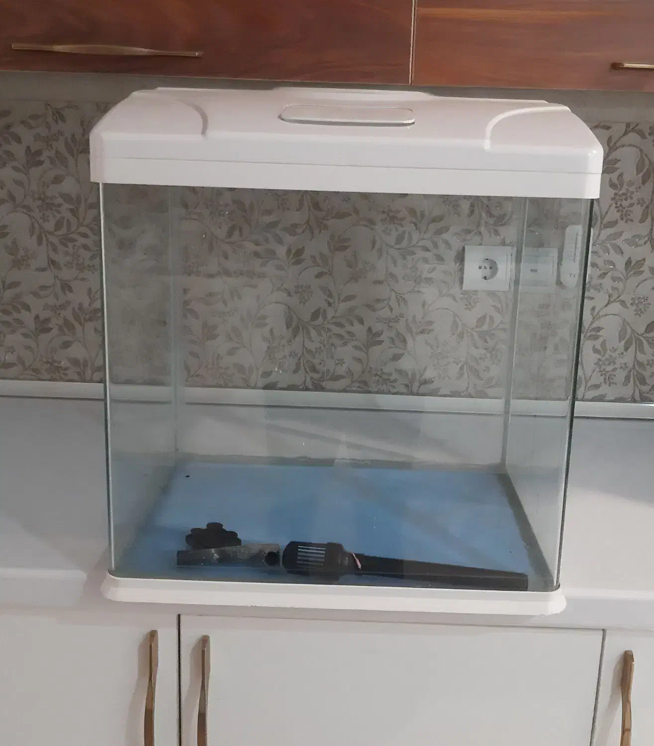 اکواریوم شیشه خم|ماهی|اسلام‌شهر, شهرک قائمیه|دیوار