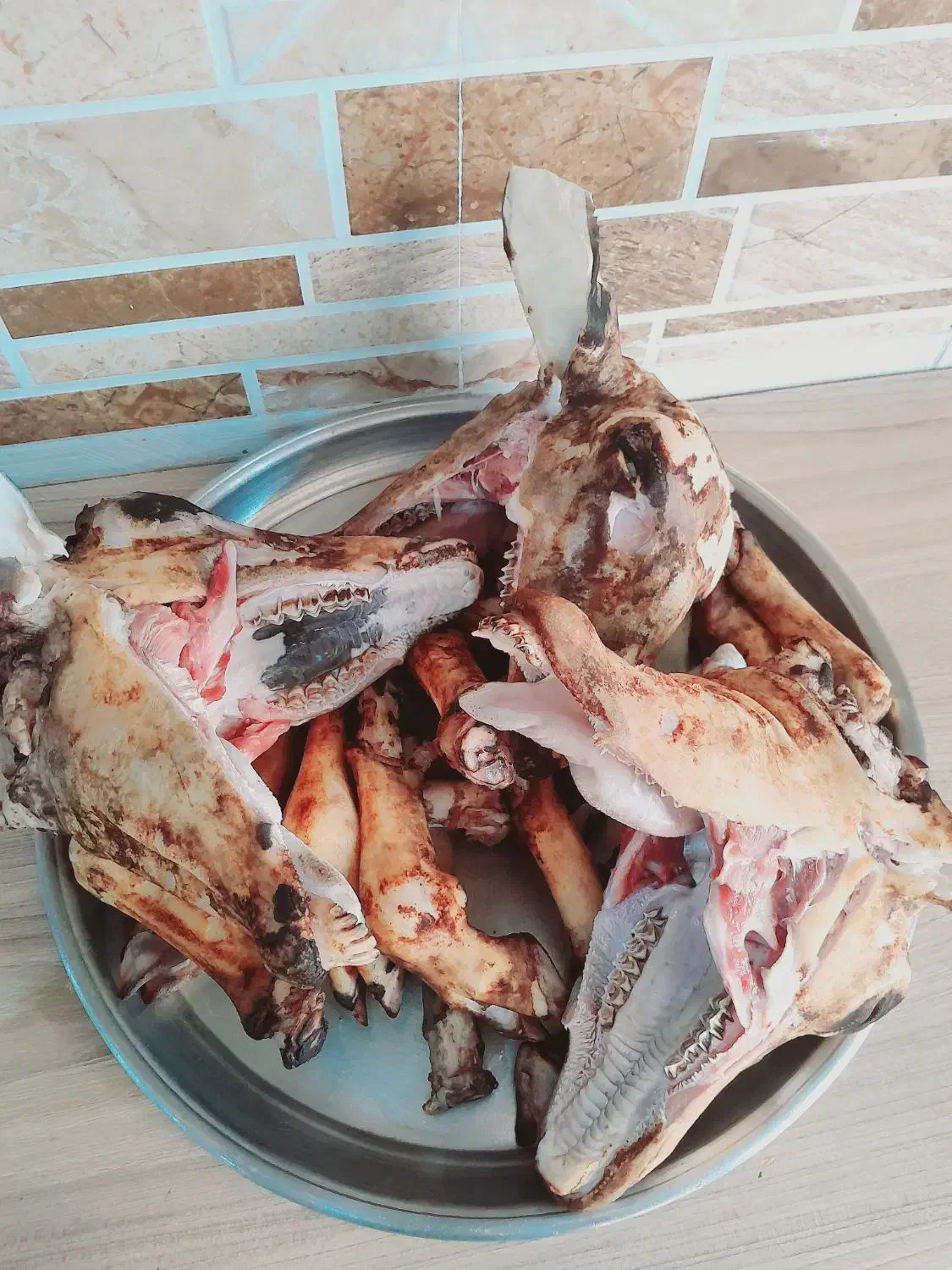 کله پاچه تمیزه تازه آماده ی پخت|خوردنی و آشامیدنی|اهواز, کوی راه کربلا|دیوار