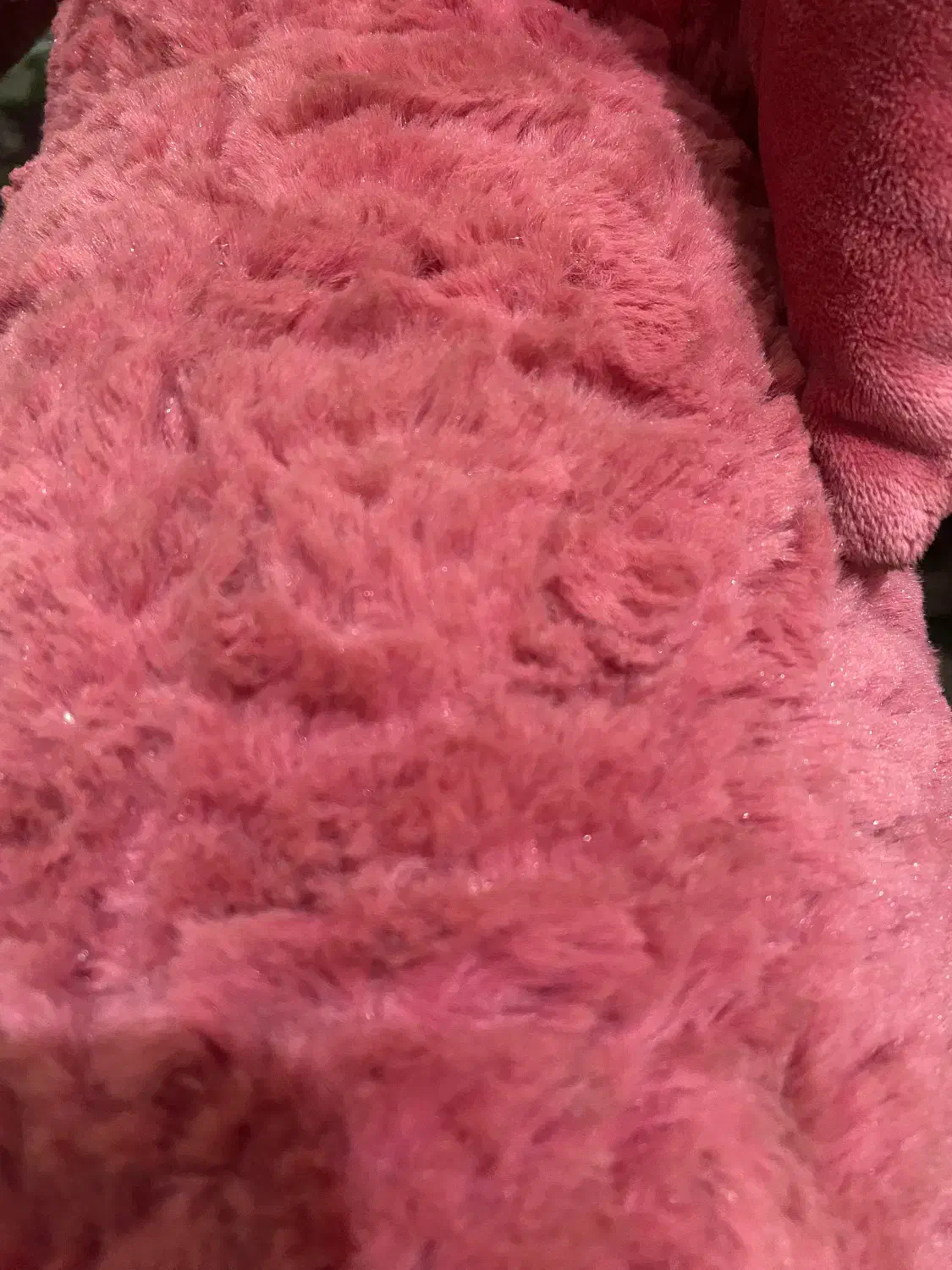 خرس|اسباببازی بچه|خوی, |دیوار