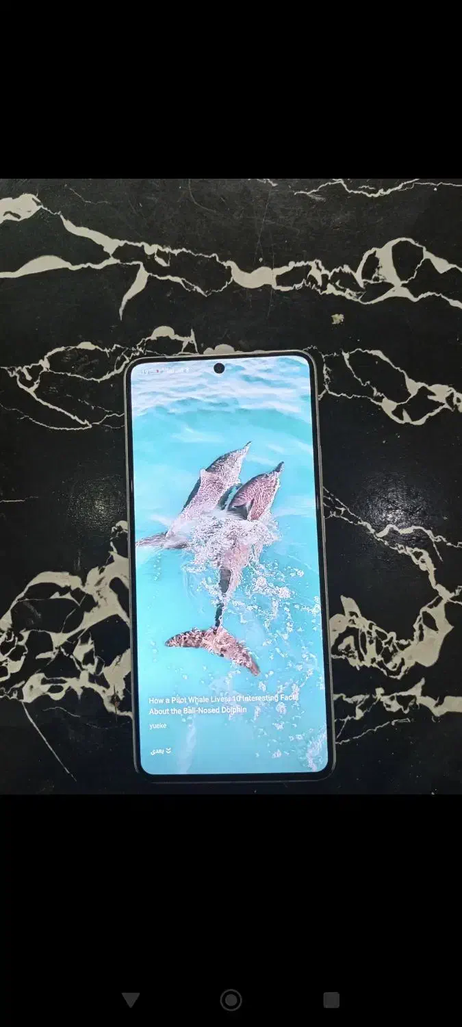 pocox6pro 512|موبایل|صباشهر, |دیوار