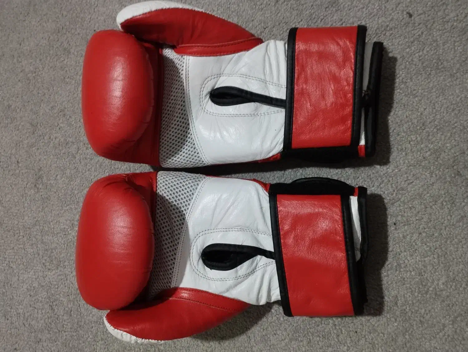 دستکش بوکسeverlast|تجهیزات ورزشی|سقز, |دیوار