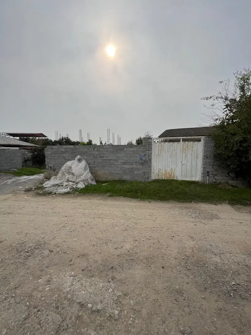 فروش زمین مسکونی ۲۶۰ متری با پروانه ساخت/سندتک برگ|فروش زمین و ملک کلنگی|کیاکلا, |دیوار