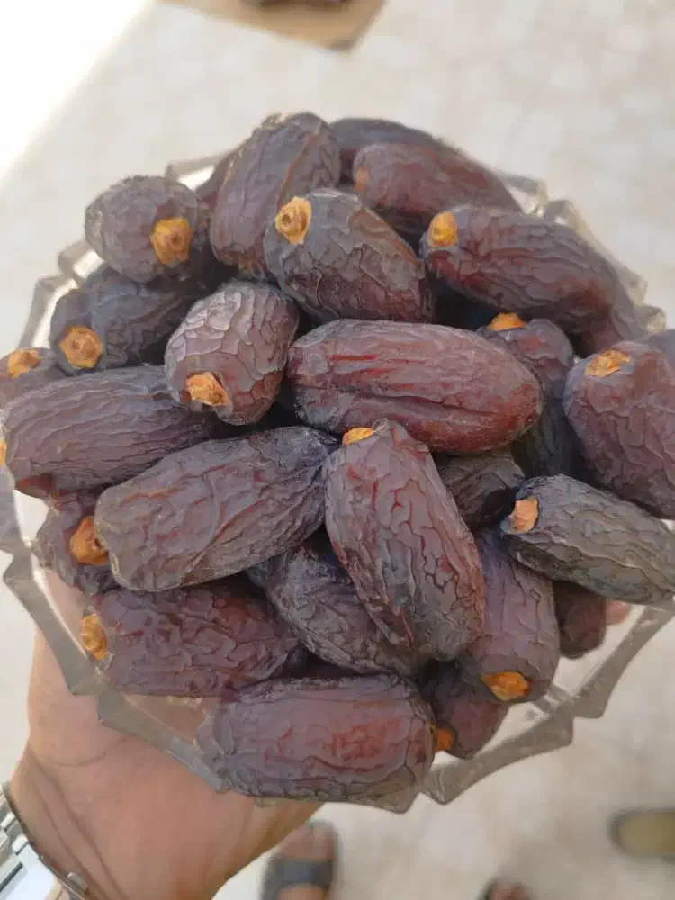 خرما مج.ول درجه ۱ درشت شهرستان جم|خوردنی و آشامیدنی|رشت, دیلمان|دیوار