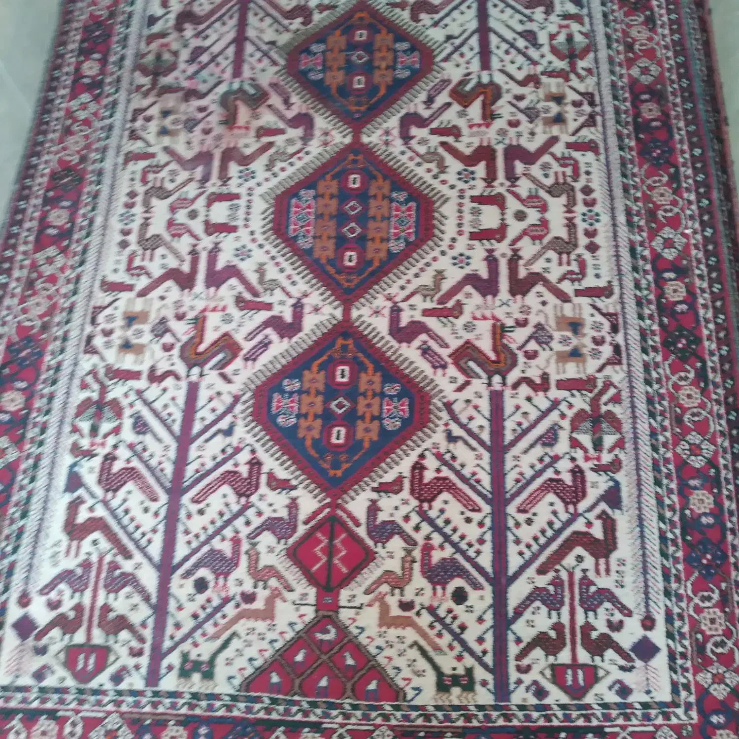 معامله انواع فرش دستباف وقالی دستبافت درب منزل|فرش|رفسنجان, |دیوار