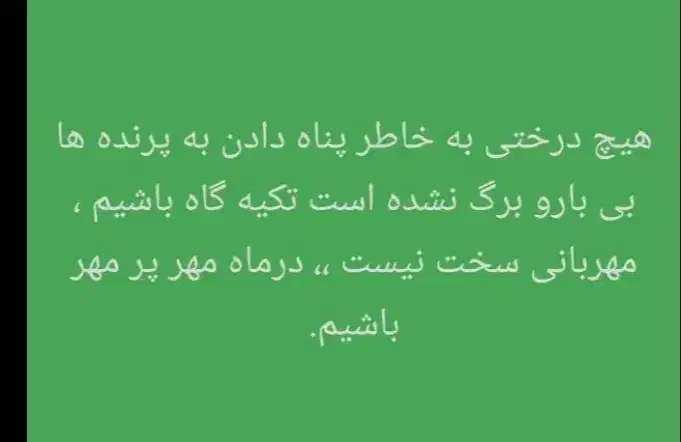 کتونی عکس بعد|کیف، کفش، کمربند|تهران, صاحب الزمان|دیوار