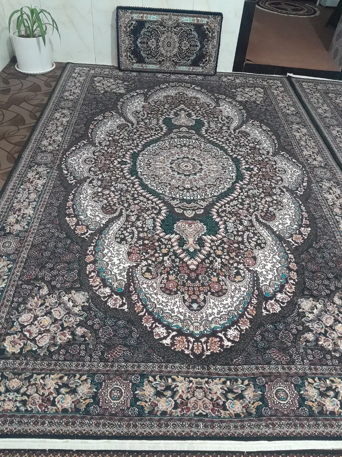 فرش|فرش|قروه, |دیوار