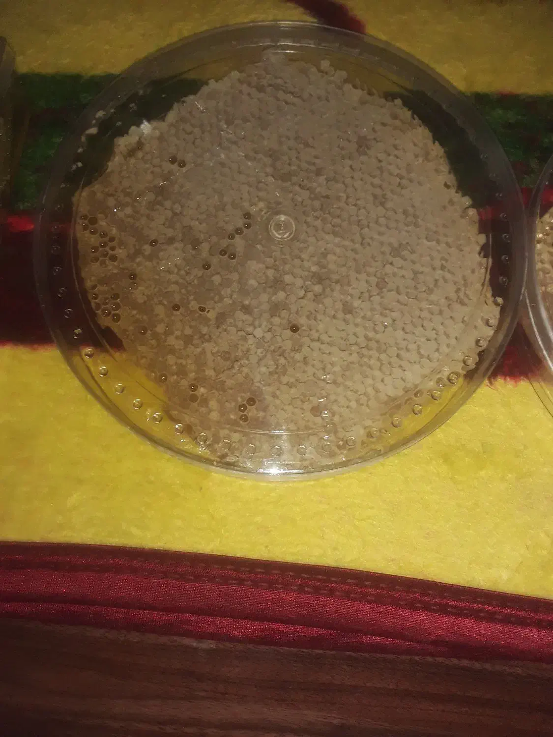 عسل دارویی باموم|خوردنی و آشامیدنی|گلبهار, شهر جدید گلبهار|دیوار