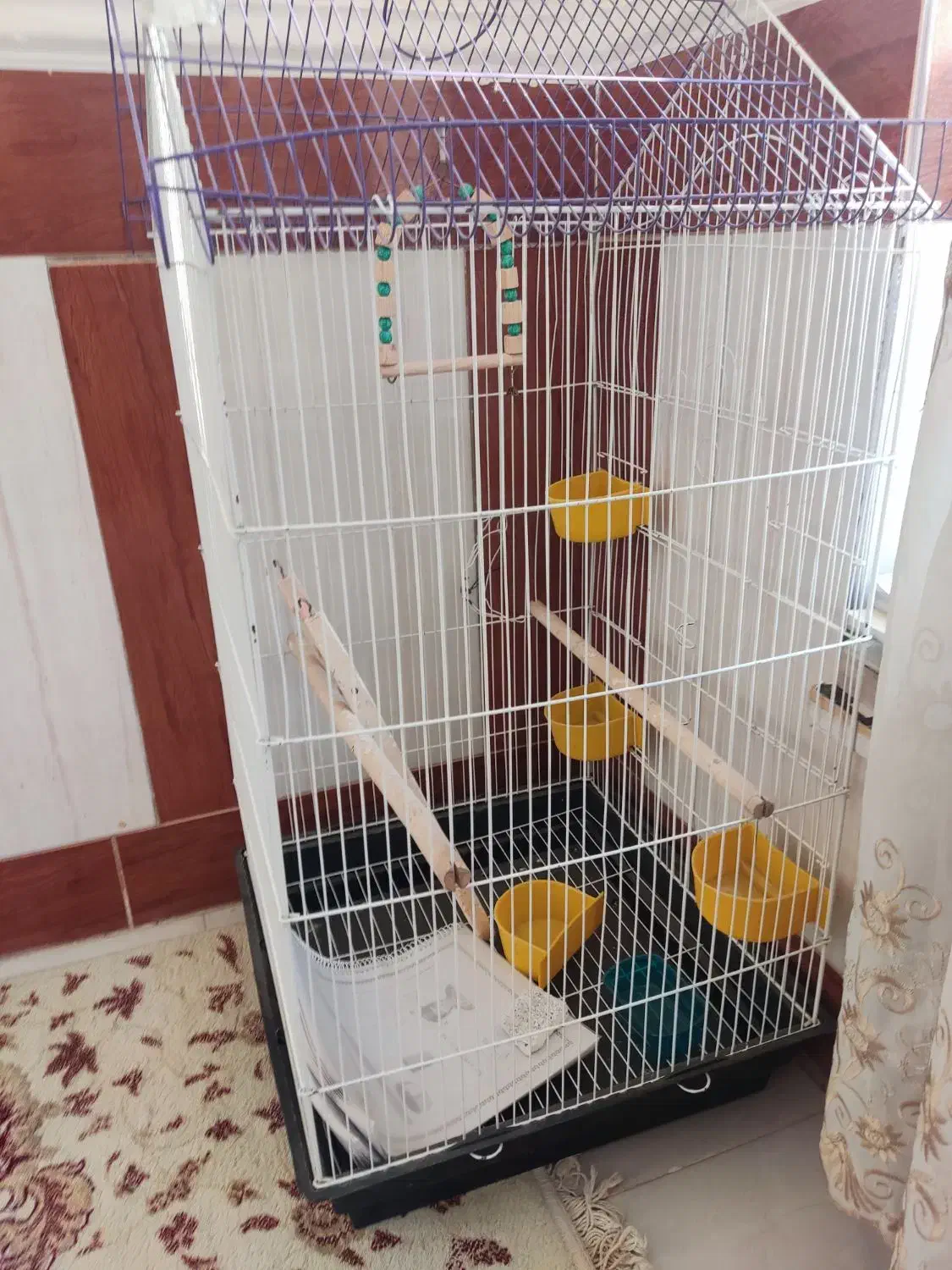 قفس پرنده|لوازم جانبی حیوانات|شیراز, پانصد دستگاه ارتش|دیوار