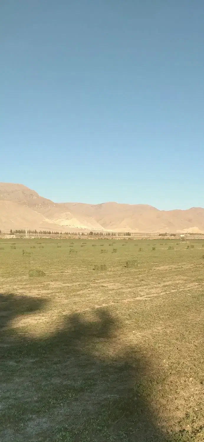 فروش یونجه پرس شده|عمدهفروشی|آشخانه, |دیوار