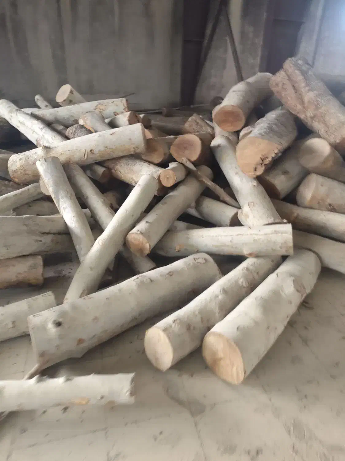 خرید انواع چوب سرپا یا بریده شده|خدمات باغبانی و درختکاری|اقبالیه, |دیوار