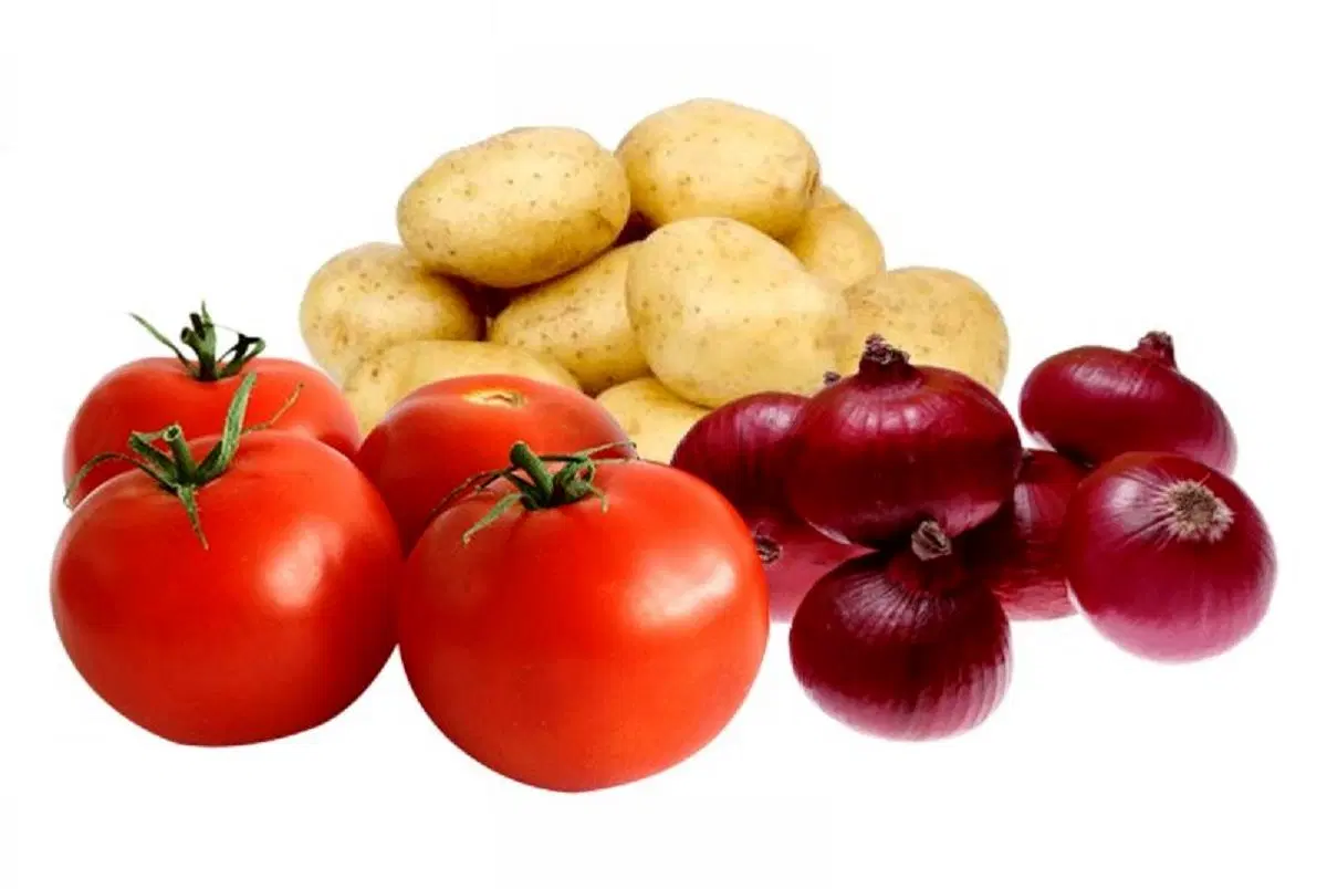 حق العمل کاری میدان مرکزی میوه و تره بار تهران|خوردنی و آشامیدنی|تهران, میدان میوه و ترهبار مرکزی|دیوار