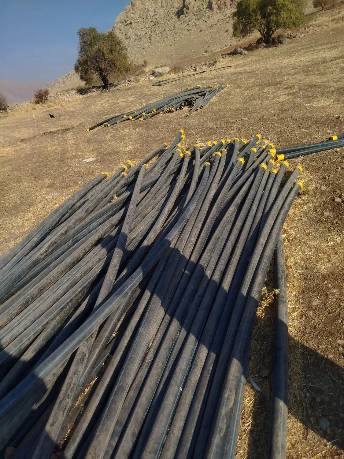 لوله نیوفیت طرح ترک ۸بار سایز۷۵|خدمات باغبانی و درختکاری|کرمانشاه, |دیوار