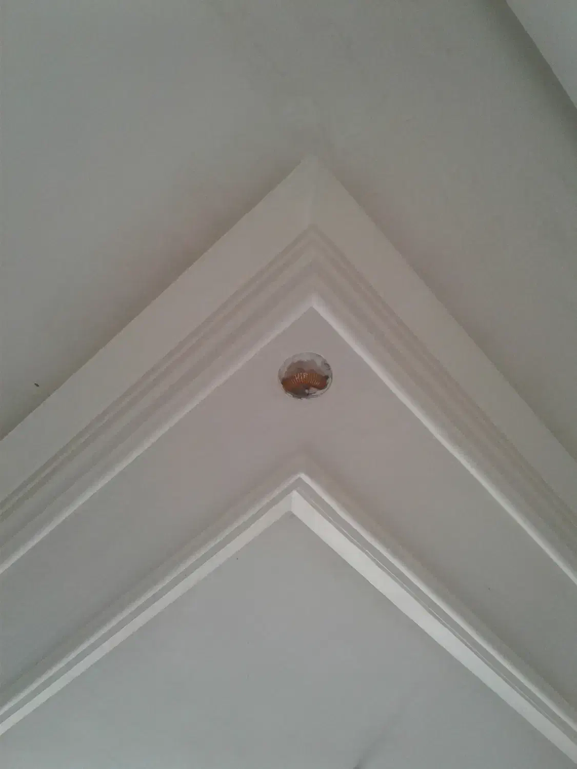 گچ کار|خدمات پیشه و مهارت|اسلامشهر, شاطره|دیوار