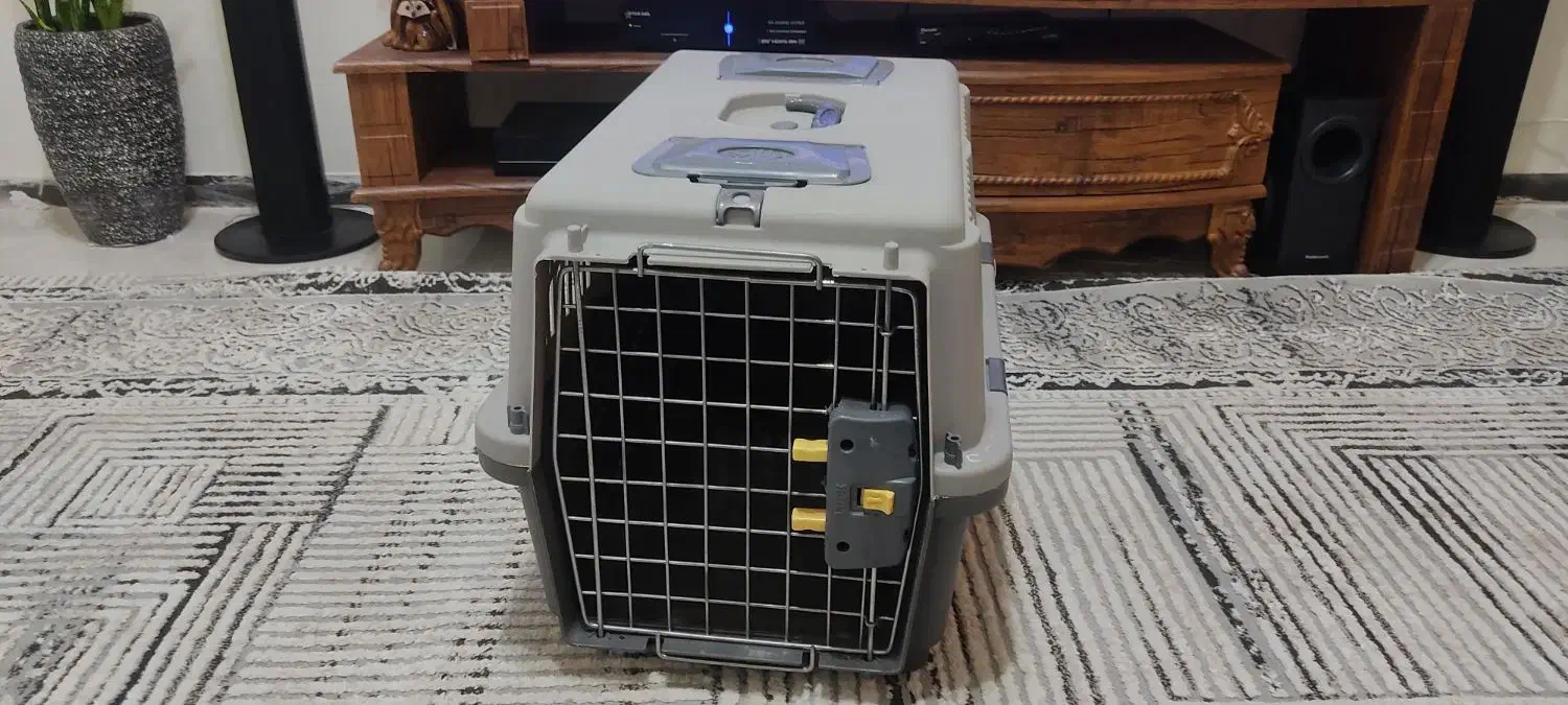 باکس سگ و گربه سایز بزرگ|لوازم جانبی حیوانات|جیرفت, |دیوار