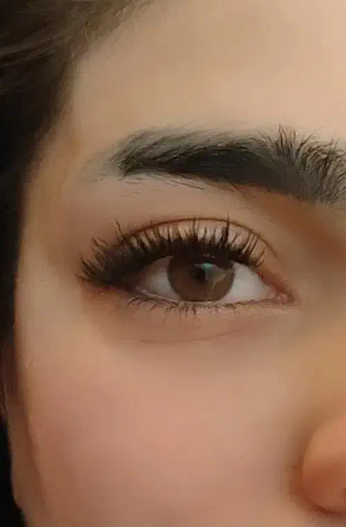کاشت مژه هیدن ،لیفت ولمینت مژه و ابرو|خدمات آرایشگری و زیبایی|شیراز, شهرک مدرس|دیوار