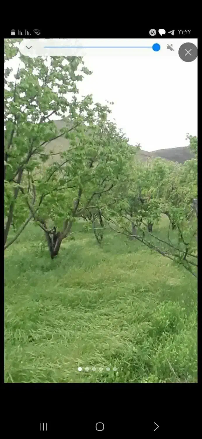 باغ میوه و ویلا در دینور قابل معاوضه|فروش دفتر صنعتی، کشاورزی، تجاری|دینور, |دیوار