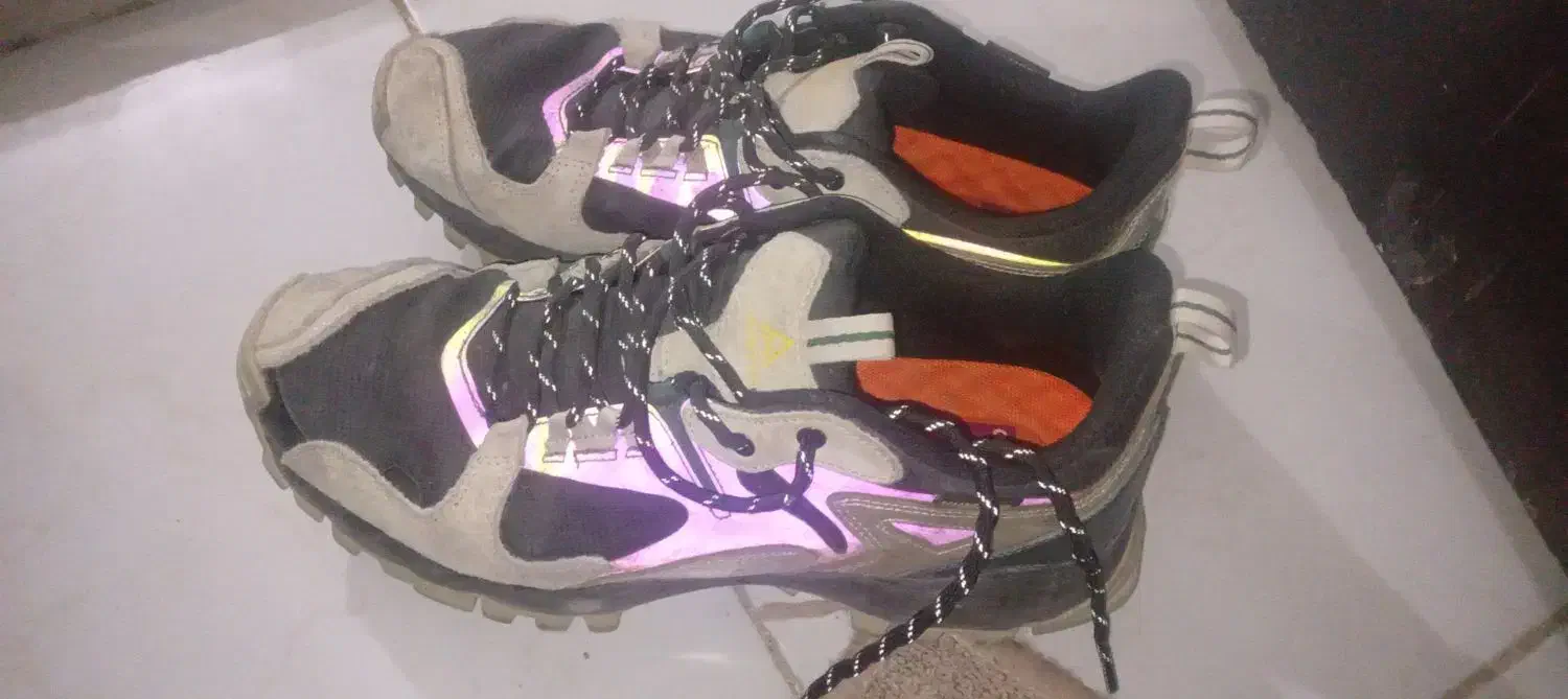 کفش اورجینال هومتو|کیف، کفش، کمربند|نیمبلوک, |دیوار