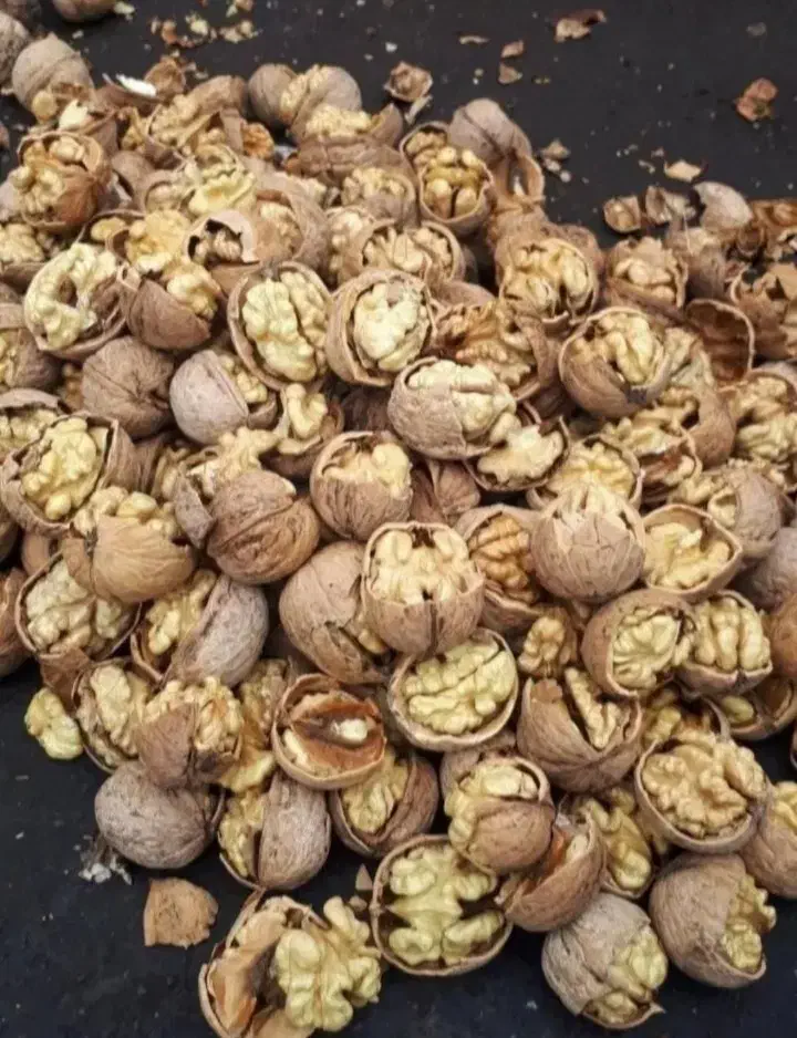 انبار خشکبار گردو بادام انجیر تخمه پسته کشمش و|خوردنی و آشامیدنی|اصفهان, رهنان|دیوار