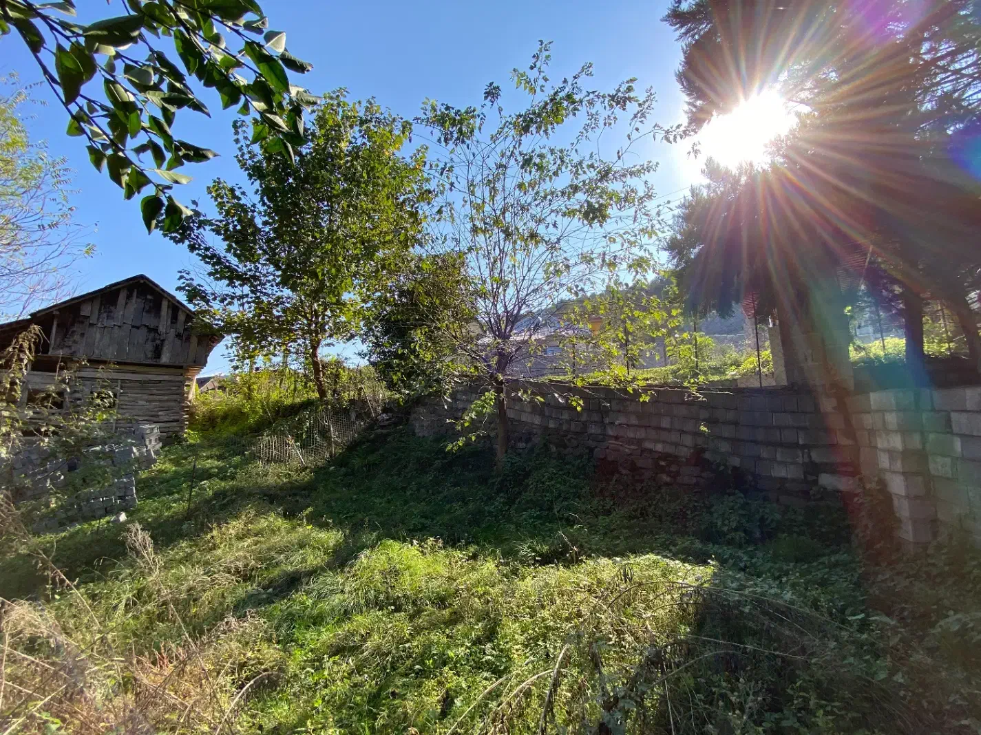 مسکونی در لفور|فروش زمین و ملک کلنگی|آلاشت, |دیوار