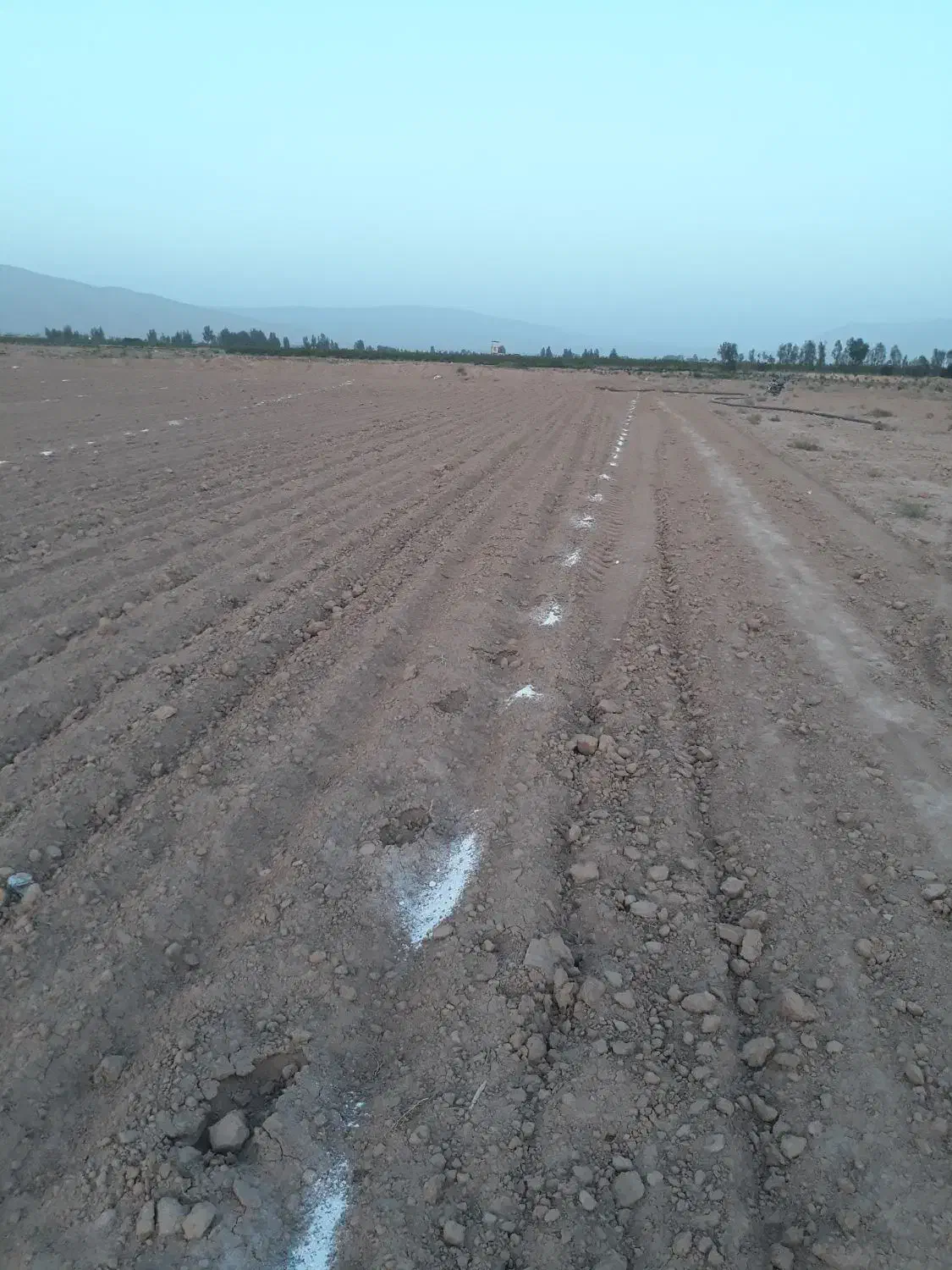 فروش زمین طرح فرزند آوری در سروستان231متر|فروش زمین و ملک کلنگی|سروستان, |دیوار