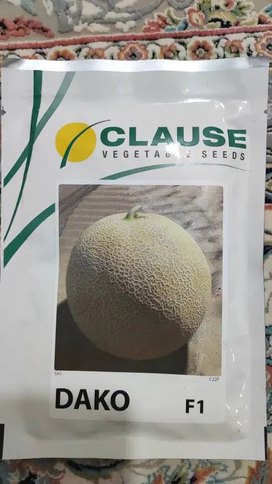 بذر ملون dako f1 صادراتی|گل و گیاه طبیعی|جیرفت, |دیوار