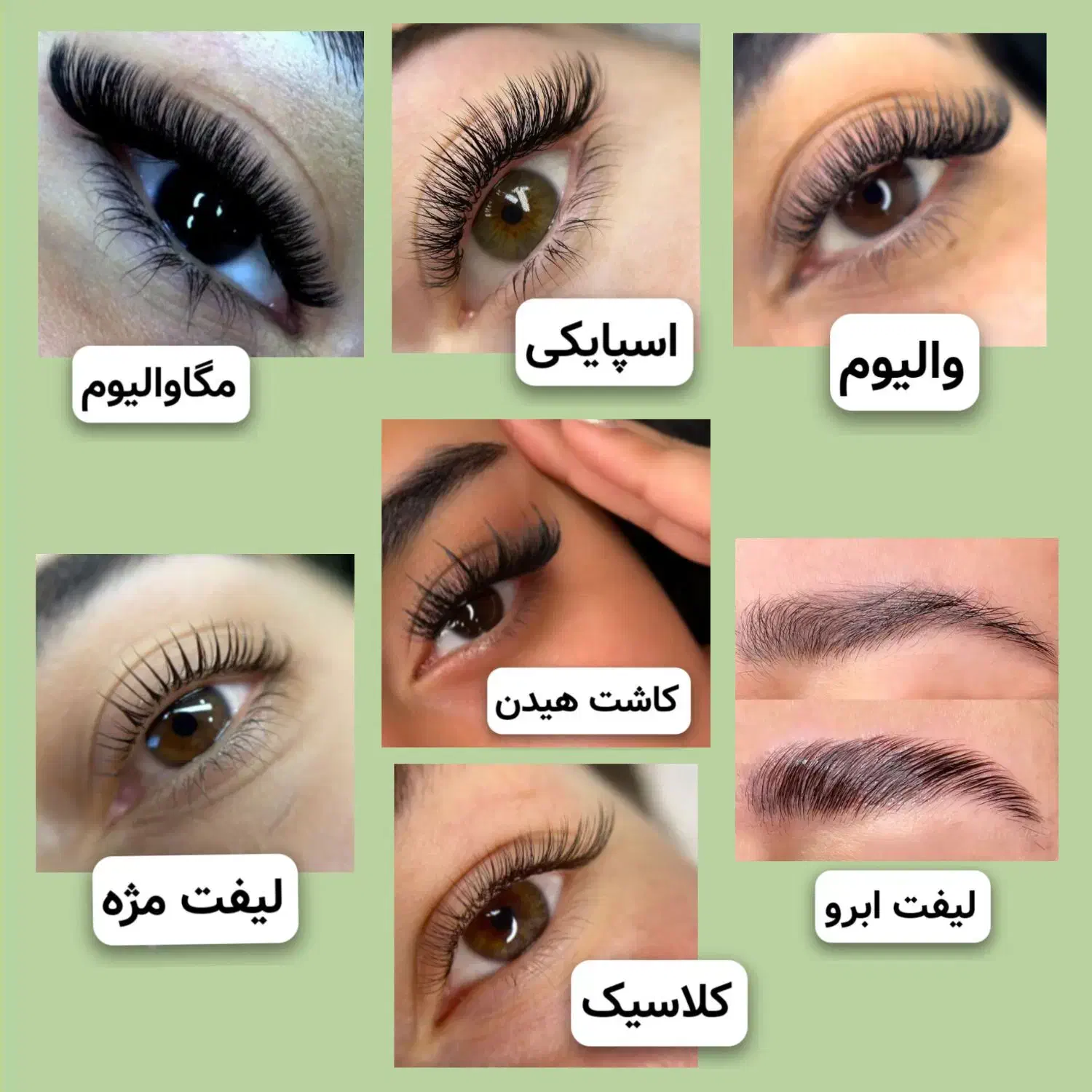 تخفیف %30 تا %50 خدمات مژه و ابرو|خدمات آرایشگری و زیبایی|محمدشهر, همایون ویلا|دیوار