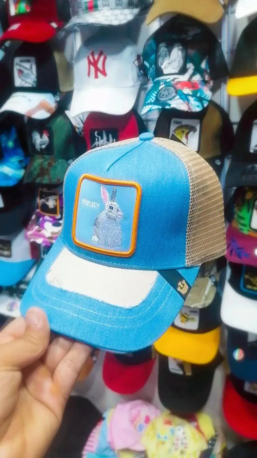 گورین اصل|لباس|بندرعباس, |دیوار