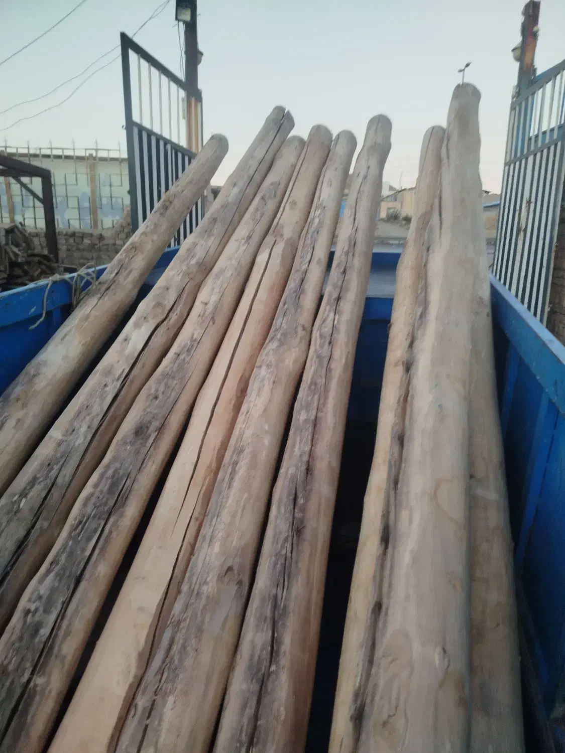 خرید انواع چوب .خرید چوب سقفی و تخته|خدمات باغبانی و درختکاری|تبریز, |دیوار