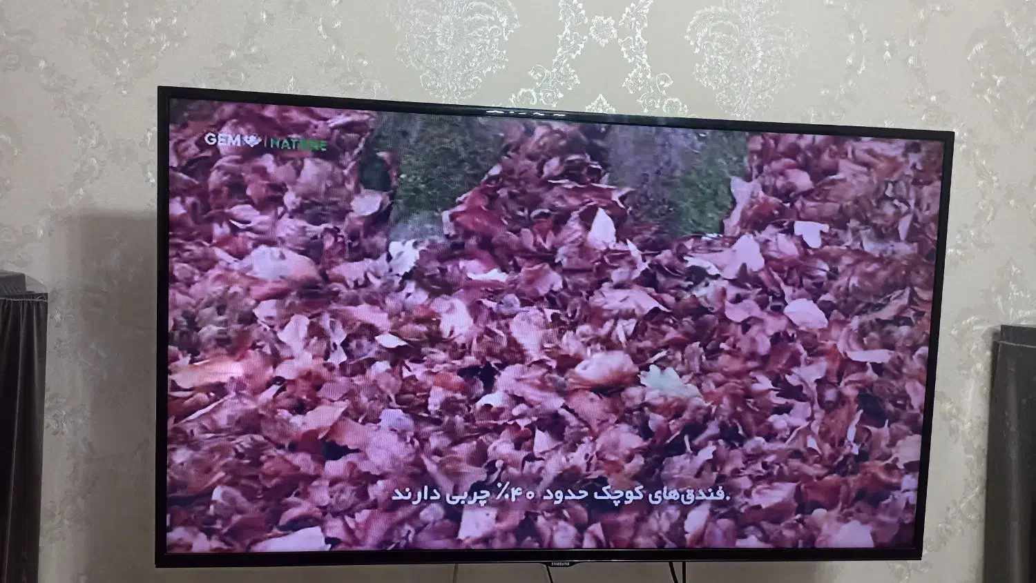 تلویزیون ال ای دی ۴۶ سامسونگ|تلویزیون و پروژکتور|تالش, هشتپر|دیوار