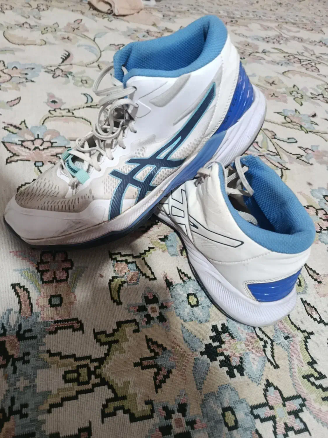 کفش والیبال|کیف، کفش، کمربند|گلبهار, شهر جدید گلبهار|دیوار