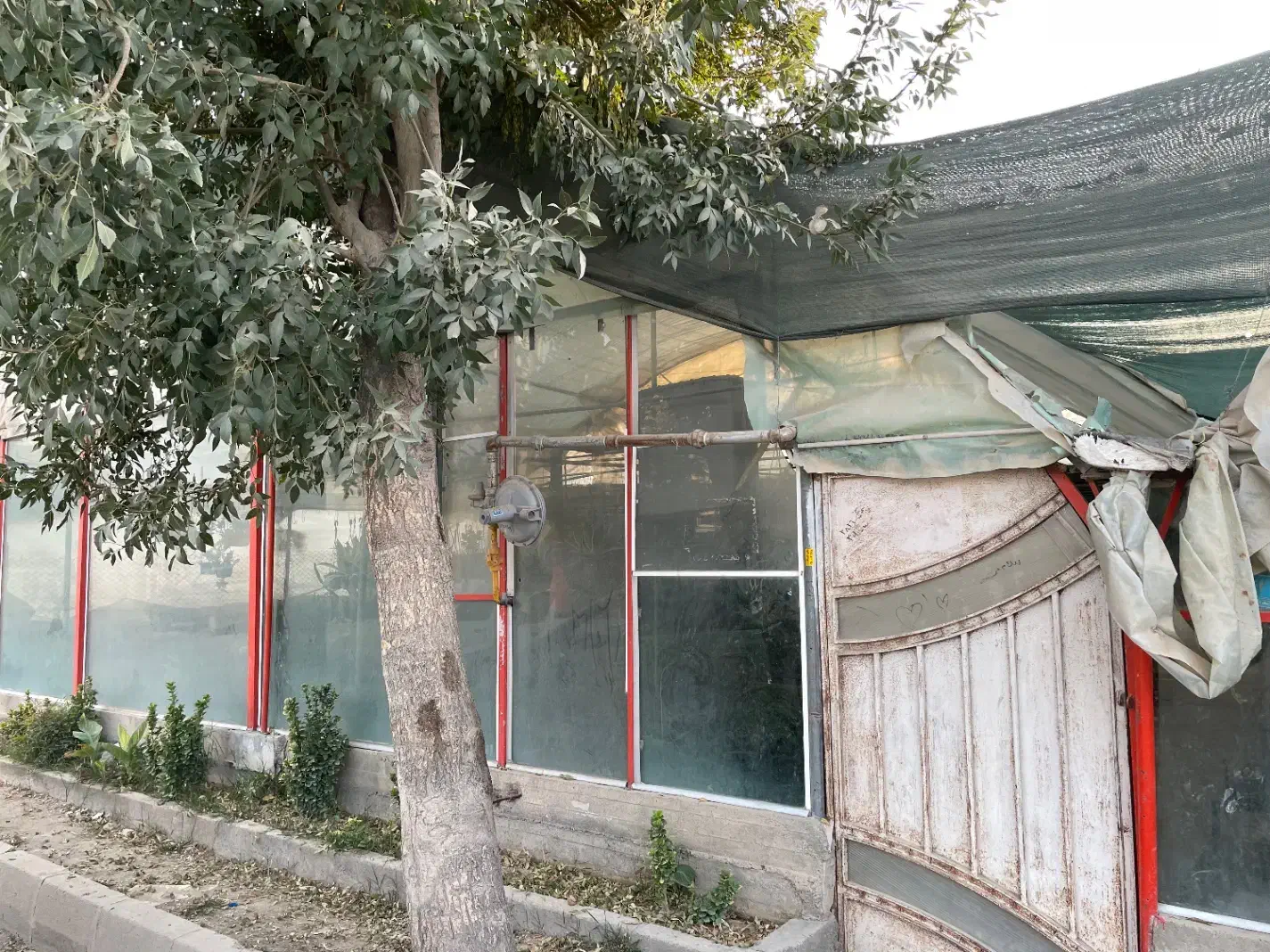 گلخانه|اجارهٔ دفتر صنعتی، کشاورزی، تجاری|تهران, سازمان آب|دیوار