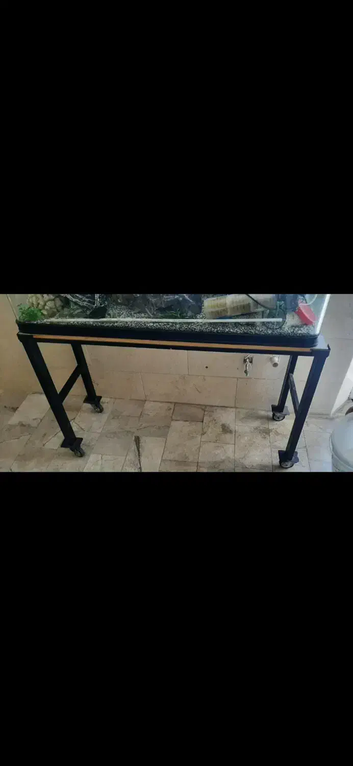 آکواریوم شیشه خم سه میل|ماهی|حمیدیا, |دیوار