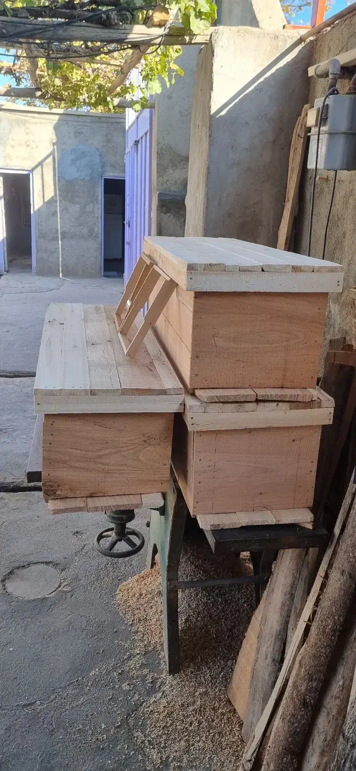 کندوی عسل|حیوانات مزرعه|بکتاش, |دیوار