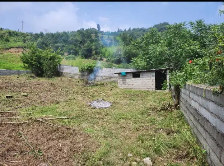 ۲۵۰ متر زمین اطراف کلاچای با تغییر کاربری|فروش زمین و ملک کلنگی|کلاچای, |دیوار