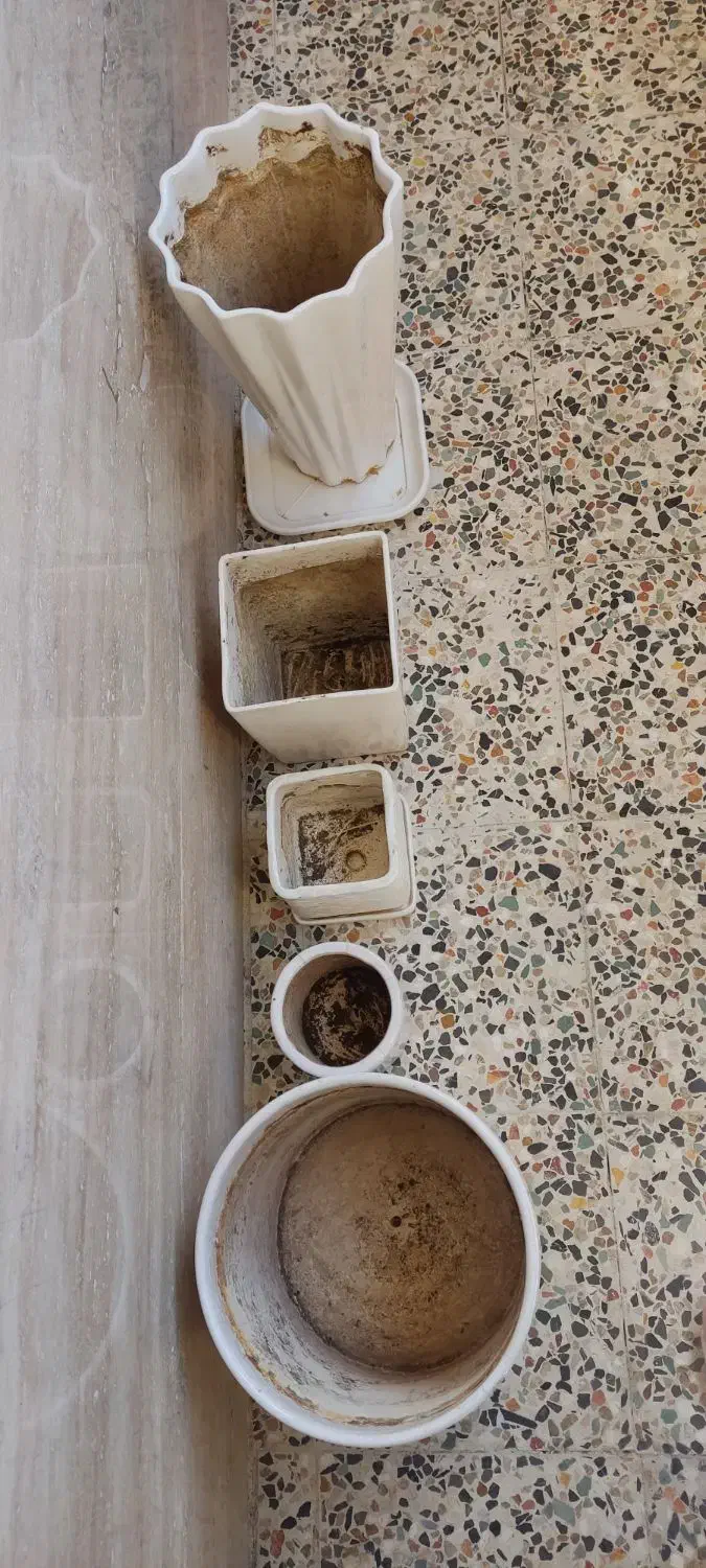 تعدادی گلدان|گل و گیاه طبیعی|شیراز, تحویلی|دیوار