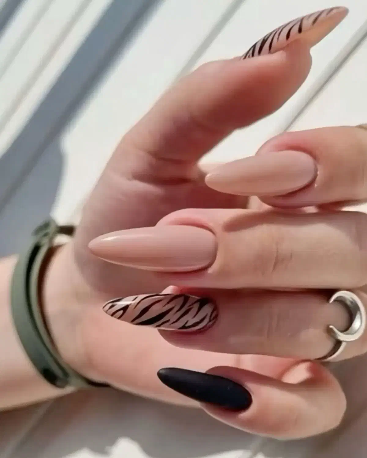 نیازمند مدل رایگان|خدمات آرایشگری و زیبایی|رشت, کاکتوس|دیوار